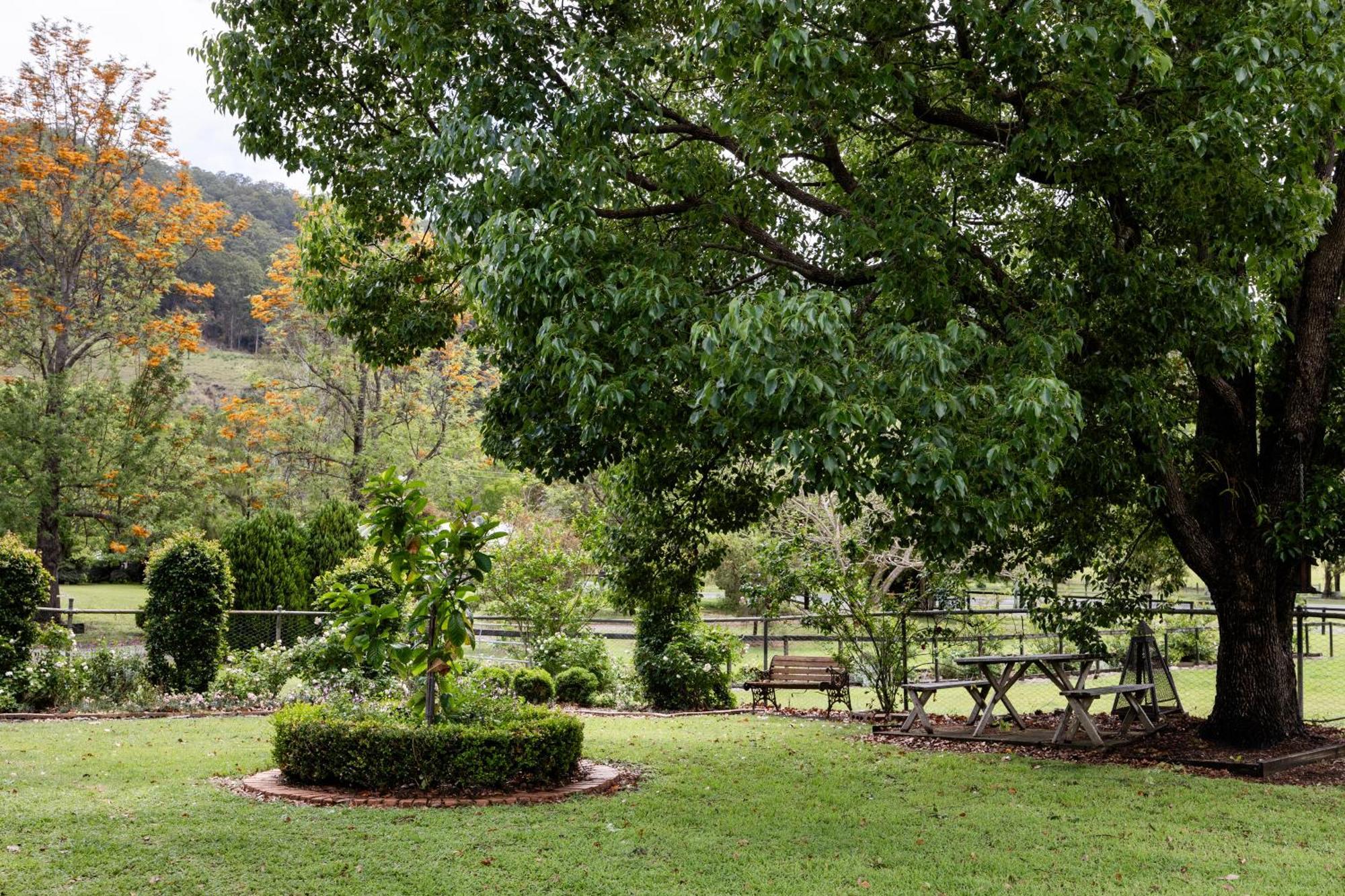 Cottage On Lamington Canungra Bagian luar foto